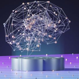 Niacyna (witamina B3) – fundament zdrowego metabolizmu i układu nerwowego