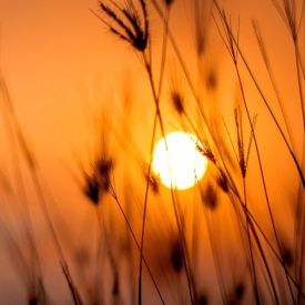 Notoryczny brak słońca. Jak sobie z nim radzić