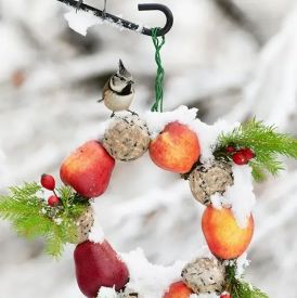 Karmnik w zimowym ogrodzie – jak pomagać ptakom, by naprawdę im nie zaszkodzić