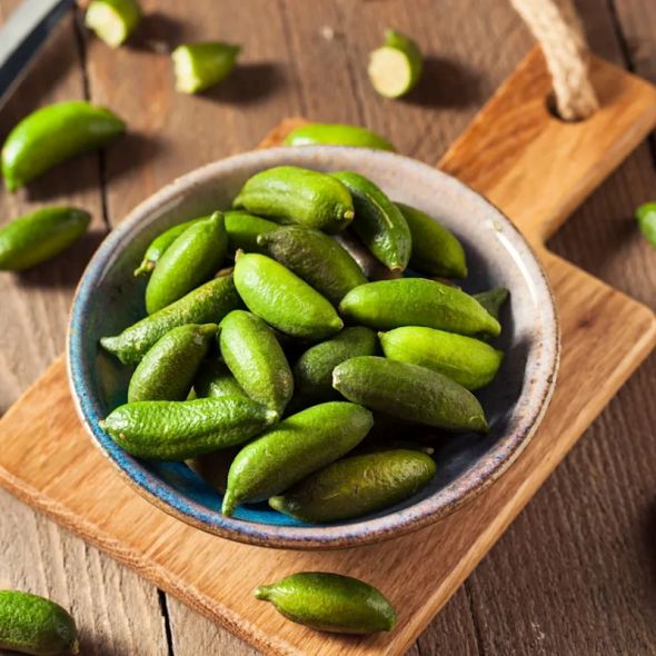 Limonka palczasta – cytrusowy kawior młodości dla kobiet