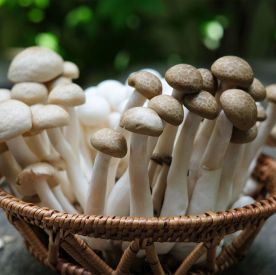 Grzybki shimeji – delikatna moc natury w kobiecej diecie