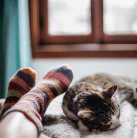 Spanie w skarpetkach – zdrowy nawyk czy błąd? Oto, co mówi nauka