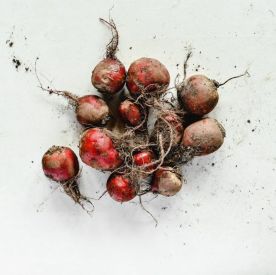 BURAKI – polskie superfood, które wspiera serce, odporność i kobiece zdrowie