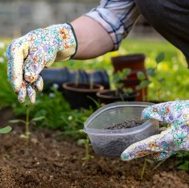 Marzec w ogrodzie warzywnym – jakie prace warto wykonać na początku sezonu?