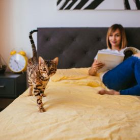 Wakacje z pupilem. Jak zaplanować idealny wyjazd nad morze?