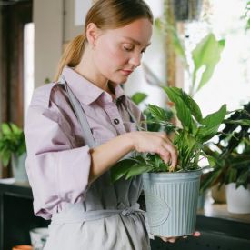 Dlaczego ziemia w doniczce pleśnieje? Najczęstsze przyczyny i skuteczne rozwiązania