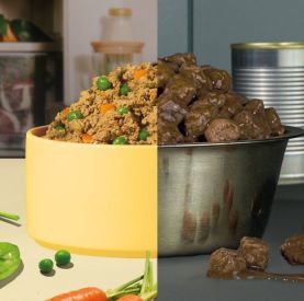 Karma jest spalona. Cała prawda o tym, co je Twój pies