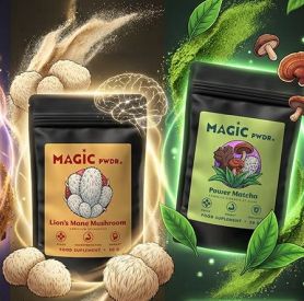 Grzyby adaptogenne – naturalne wsparcie organizmu w nowoczesnym stylu życia