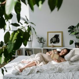 Najlepsze rośliny do sypialni, które poprawiają jakość snu i oczyszczają powietrze