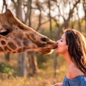 Lato w mieście? Idź do zoo! Dlaczego wizyta w ogrodzie zoologicznym to świetny pomysł na wakacyjny dzień?