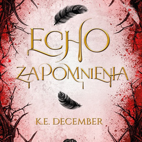K.E. December: Echo zapomnienia – fantasy, w którym przeznaczenie ma twarz zwykłej dziewczyny