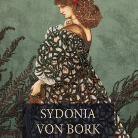 Wilhelm Meinhold: Sydonia von Bork – gotycka legenda o kobiecie, której historia została uwięziona między kroniką a koszmarem