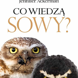 Jennifer Ackerman: Co wiedzą sowy? – fascynująca książka o tajemnicach nocnych ptaków
