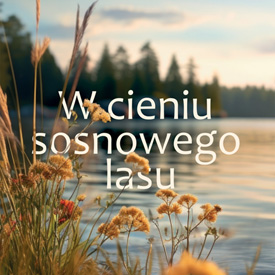 Anna Szczęsna: W cieniu sosnowego lasu – książka dla kobiet, które zbyt długo odkładały siebie na później
